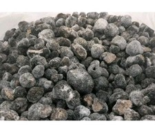 500 Gr. Tartufo Nero Scorzone