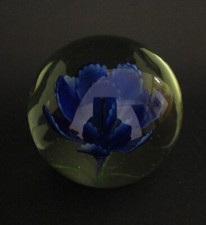 ✅ SPLENDIDO ANTICO