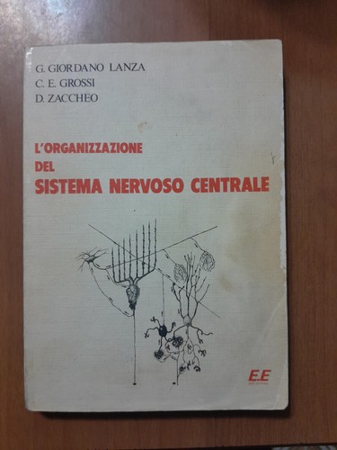 Organizzazione del sistema - del,