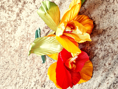Gioielli moda spilla fiore - spilla,