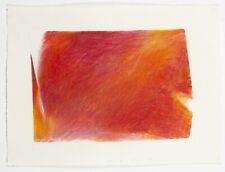 TETSURO SHIMIZU: 2019