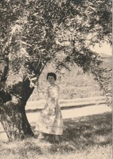 B1 - Foto Photo Fotografia anni 50 - Donna Albero Ulivo