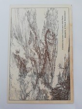 P4473 franchigia illustrata - p4473,