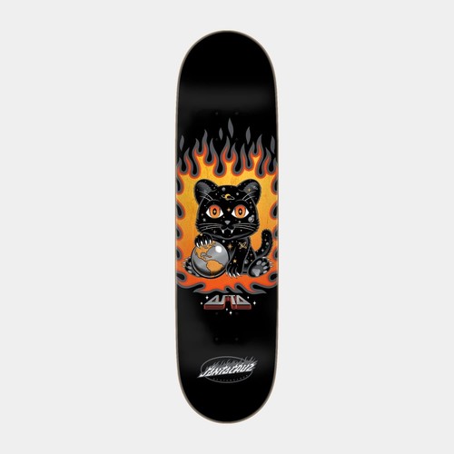 Santa cruz asta - santa, kitten