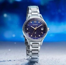 Coppia Citizen XC Silent Snow