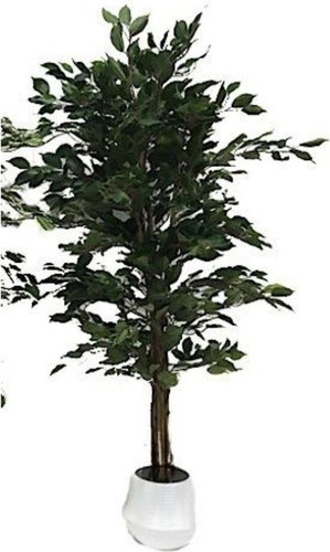 Pianta artificiale ficus - pianta,