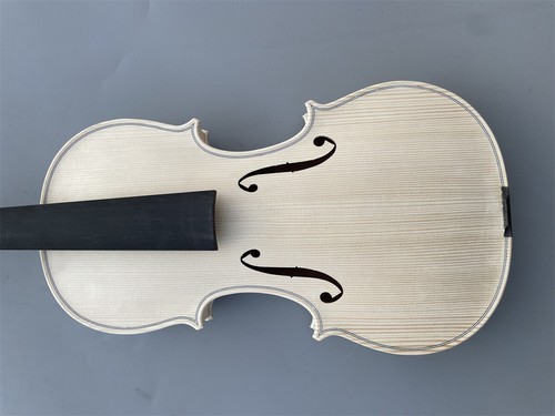 Violino professionale 4/4
