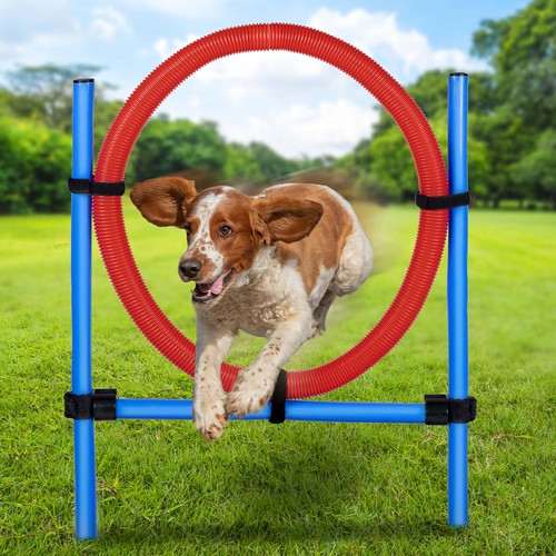 Anello salto per cani - anello,