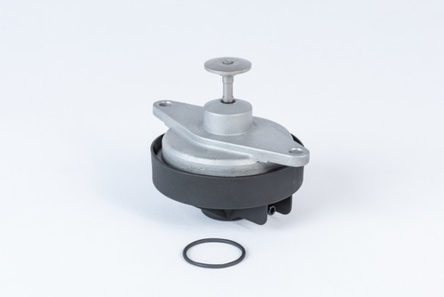 Borgwarner valvola agr - valvola,