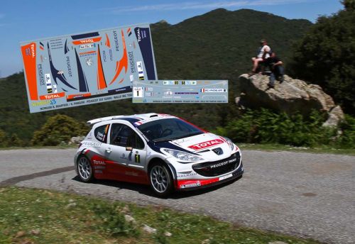 Decals peugeot 207 s2000 - 1/43,