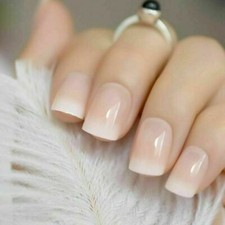 24/1 French Manicure