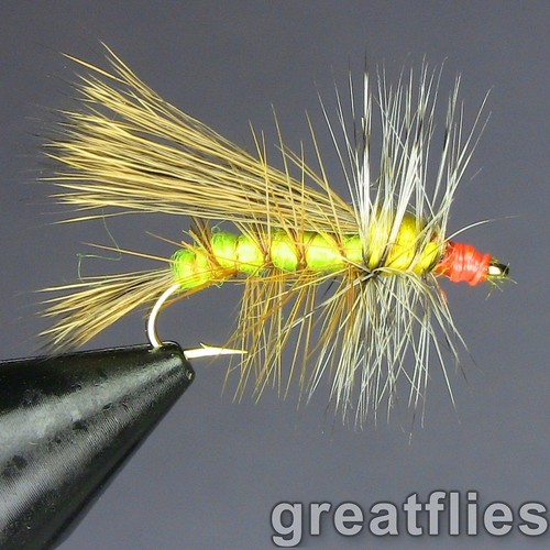 Dozzina stimolatore - 1,