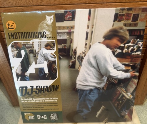 Shadow endtroducing - dj,