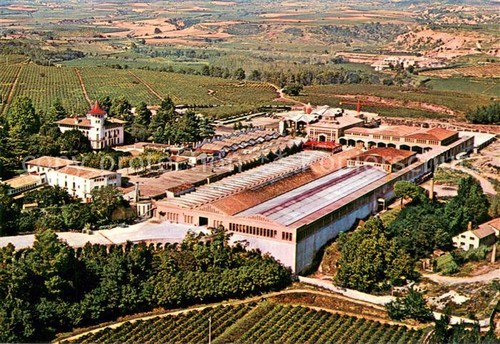 Cavas codorniu ripresa - codorniu, es