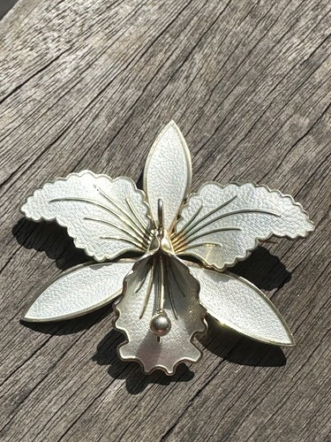 Spilla smaltata argento