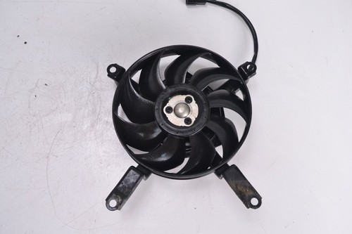 Ventola radiatore yamaha tdm - ventola,