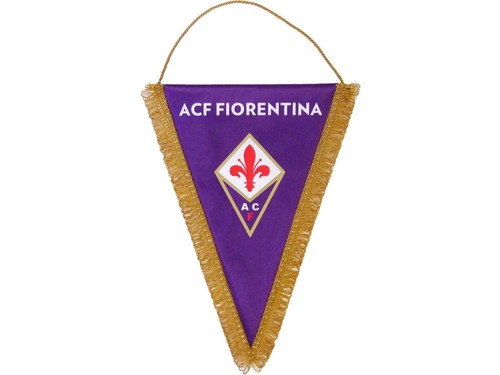 Gagliardetto ufficiale - gagliardetto,