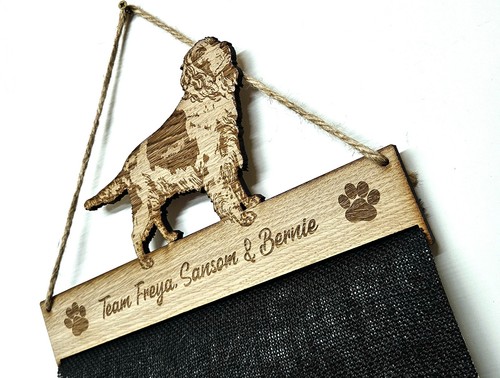 Springer spaniel porta - spaniel,