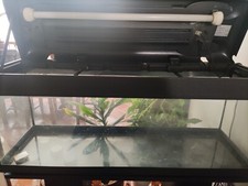 Acquario  con  mobiletto di Supporto e filtro 