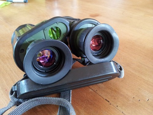 Binocolo carl zeiss - binocolo, edf