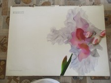 calendario PIRELLI 2004 ● NICK NIGHT buone condizioni vedi foto