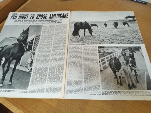 Ribot anno 1959 clipping - anno,