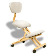 Sedia ergonomica - sedia,