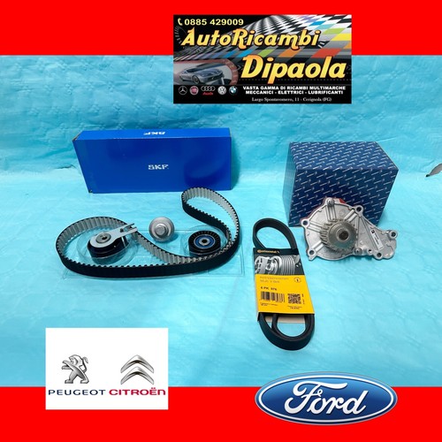 Kit distribuzione skf - kit,