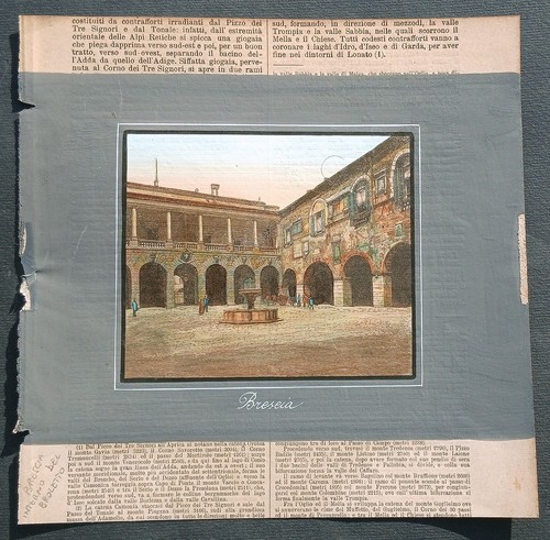 Stampa antica 1891 - , palmiro