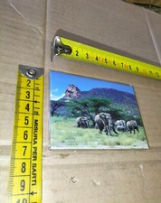 Gadget calamita magnete - gadget,
