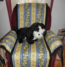 COPERTURA PET CARE: Proteggi
