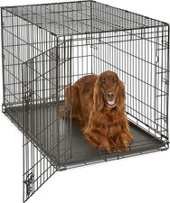 Gabbia per Cani in Metallo a