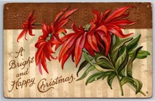 Luminoso e felice Natale