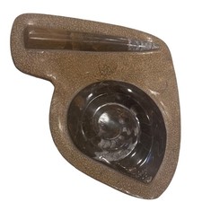 Polished Goniatite and