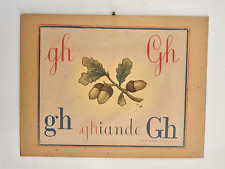 Cartello Alfabetiere Scuola Vintage Alfabeto Murale Fabbri Ortografia Ghianda