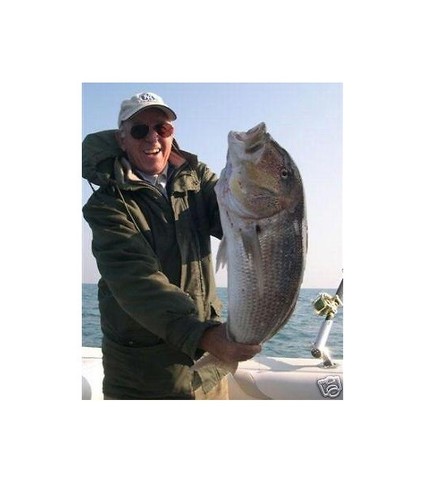 Filo pesca traina inox 0 - pesca, 0,80