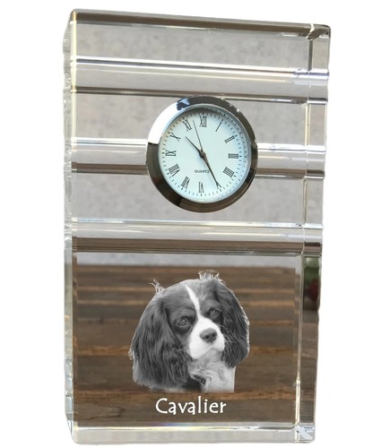 Cavalier king charles spaniel - cavalier,