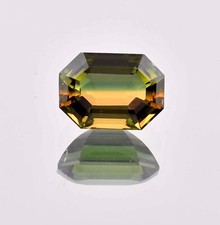 15 x 11 MM Natural Bi-Color