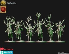 Wood Elves Briar maidens