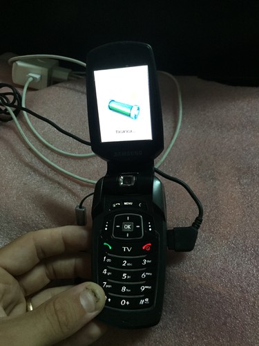 4264nn cellulare samsung - *4264nn-cellulare,