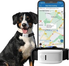 Winnes GPS Tracker Cane Gatti