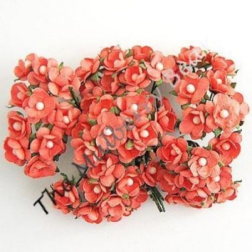 Fiori fiore pesca salmone - 50,