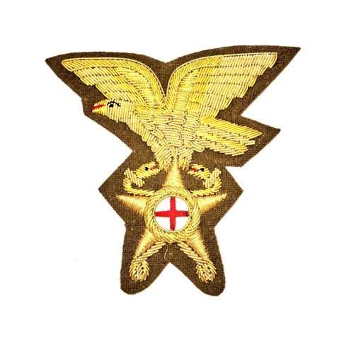Fregio medico alpino - medico,