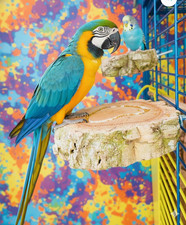 3 Posatoi in Sughero Naturale