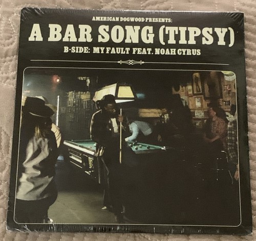 Shaboozey bar song - shaboozey, (tipsy)