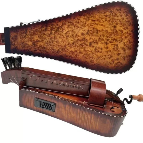 Hurdy gurdy elettrico corde - hurdy, 6