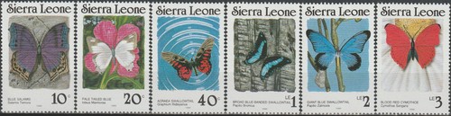 Sierra leone defins farfalle - leone,