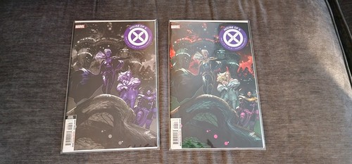 House variant cover - x, #6