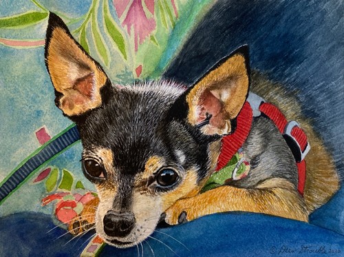 Stampa artistica chihuahua - stampa, di