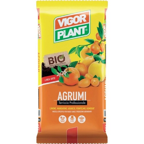 Vigor plant terriccio - |,